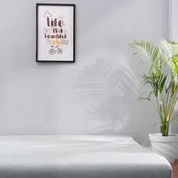 Solis Primus Comfort for all White Foam Fold Out Sofa Cum Bed image 3