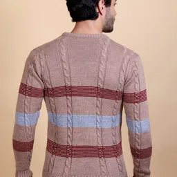 Dzant Men Colourblocked Round Neck Full Sleeve Pullover image 3