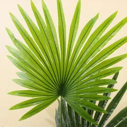 Ekhasa Green 1 Pieces Artificial Plant With Pot image 3