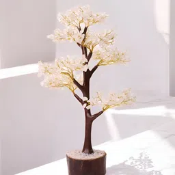 Shubhanjali White Fengshui Figurine Showpiece-picture-34