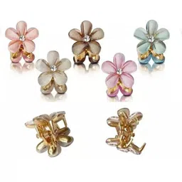 Watch junction Women Set of 5 Claw Clip-picture-18