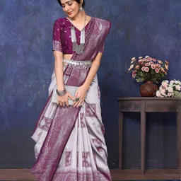 sareyavella Woven Design Zari Banarasi Saree-picture-39