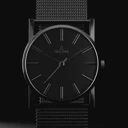 SKYLONA Men Brass Dial & Stainless Steel Straps Analogue Watch Elegance Black-picture-41