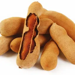Tamarind Plant-image-70