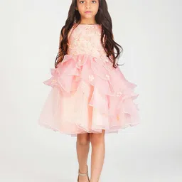 Creative Girls Floral Embroidered Fit & Flare Dress-image-40