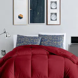 RAZZAI Burgundy & Grey Microfiber Mild Winter 300 GSM Reversible Double Bed Comforter image 4