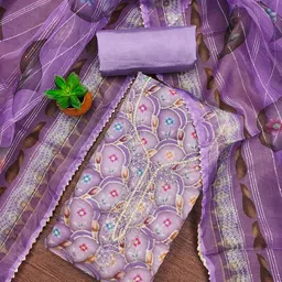 SHADOW & SAINING Embroidered Organza Unstitched Dress Material-picture-28