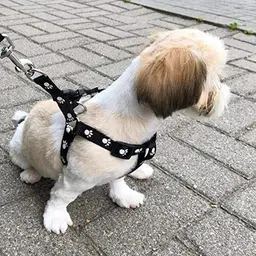 woofy Paw Print Leash and Harness | Set for Small & Medium Puppy Bell Dog & Cat Collar Charm image 4