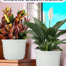 Kuber Industries 3Pcs White Textured Planters With Plate image 5