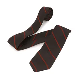 TADWILL Men Striped Broad Tie image 3