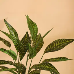 Elemntl Green Core image 3