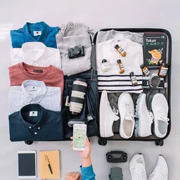 Trumpkin Unisex Hard Sided Trolley Suitcase image 2