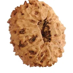 RAVIOUR LIFESTYLE Unisex Brown Pendant-picture-39