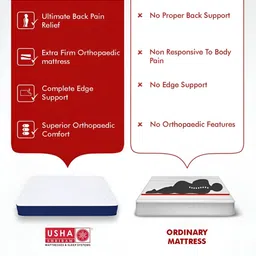 USHA SHRIRAM White & Blue Orthopedic Quilted King Size Mattress image 2