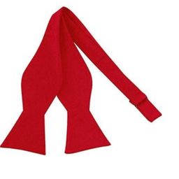 voici Self-Knot Bow Tie-picture-16
