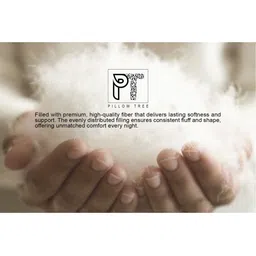 PILLOW TREE White Set of 2 Fibre Filled Cotton Sleep Pillow image 3