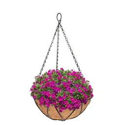Garden Deco Black & Brown 4 Pieces Hanging Basket with Coir Liner for Planter image 3