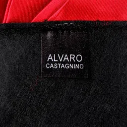 Alvaro Castagnino Men Maroon Solid Pocket Square image 2