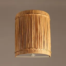 habereindia Classic Raffia Wall Light (Brown) image 5