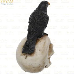 shyam antique creation Raven On Skull Halloween Decoration Sculpture - Gothic Crow On Skull Statue Decorative Showpiece - 20.32 cm image 4