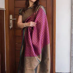 AMRUTKALA SAREES Women Woven Design Zari Banarasi Saree-picture-30