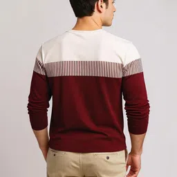 AUTNA Men Colourblocked Round Neck Long Sleeve T-shirt image 3