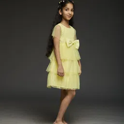 KidsDew Girl Net Fit & Flare Dress image 4