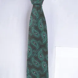 Alvaro Castagnino Men Woven Design Skinny Tie image 4