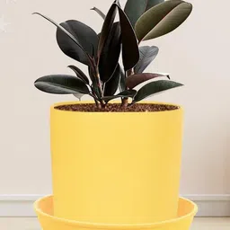 LASAKI Sara Yellow Ceramic Handmade Planter With Plate-picture-12