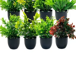 Dekorly Multi Plastic Artificial Flowers & Plants With Pot-picture-17