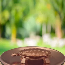 Navyaksh Copper-Toned Kachua Plate Showpiece image 4