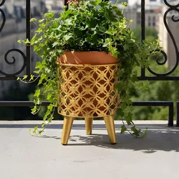 AARVI DECOR STUDIO Gold-Toned Mesh-Designed Freestanding Round Bloom Planter-picture-17