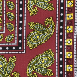 Peter England Men Maroon Printed Pocket Squares image 3