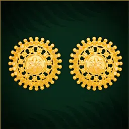 Luv Fashion Gold-Plated Brass Earrings-image-19