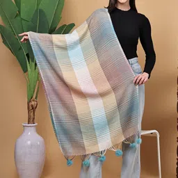 ELLIS Women Striped Taping Border Acrylic Stole image 4