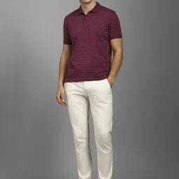Louis Philippe Men Striped Polo Collar Cotton T-shirt image 3