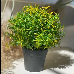paperi Yellow 2 Pieces Rosmarinus Artificial Plant With Pot image 2