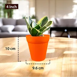 GARDEN'S NEED Excal 5Pcs Orange-Colored Planters image 3