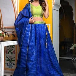Jaipur Folk Embroidered Ready To Wear Lehenga & Unstitched Blouse With Dupatta image 3