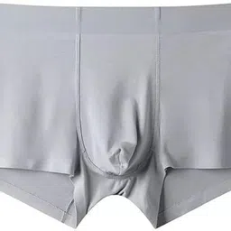 spj enterprise Men Brief image 2