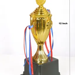jayshri handicrafts Mothers Day Best Mom Dad in The World Printed Champions Award Trophy Birthday Trophy image 3