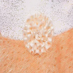 Wish Karo Embellished Net Fit & Flare Dress With Jacket image 2