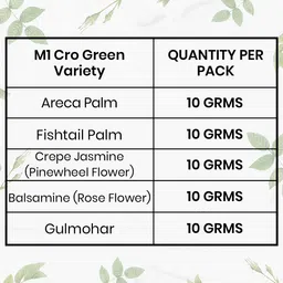 urban products Areca, Fishtail Palm & Flowering Plants Combo | 10g Each | 500+ Seed image 3