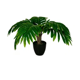 Dekorly Black Plastic Artificial Flowers & Plants With Pot-picture-37