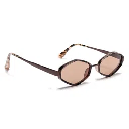 Eyejack Unisex Brown Lens & Brown Square Sunglasses with-picture-12