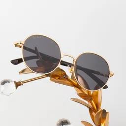 Ted Smith Unisex Black Lens & Gold-Toned Round Sunglasses with-picture-14