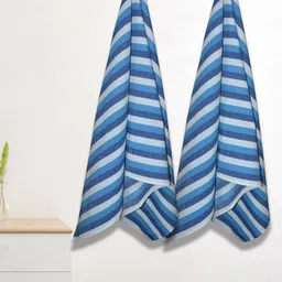Athom Living Iris Blue 2 Pieces Striped 210 GSM Cotton Bath Towel-image-85