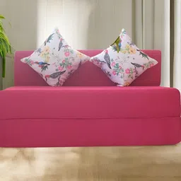 FRIENDS LIFE 2 Seater Fold Out SofaCumBed-image-26