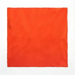 The Tie Hub Set Of 2 Silk Pocket Squares image 4