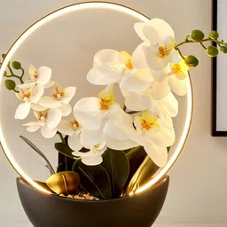 Home Centre White 1 Pieces Orchid Artificial Flower With Pot-picture-27